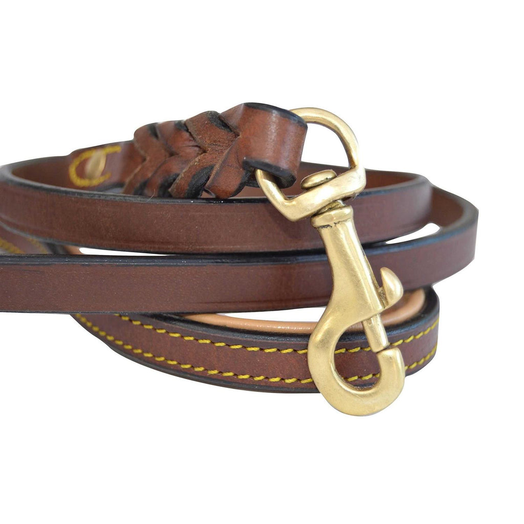Leather Braided Dog Leash N4288