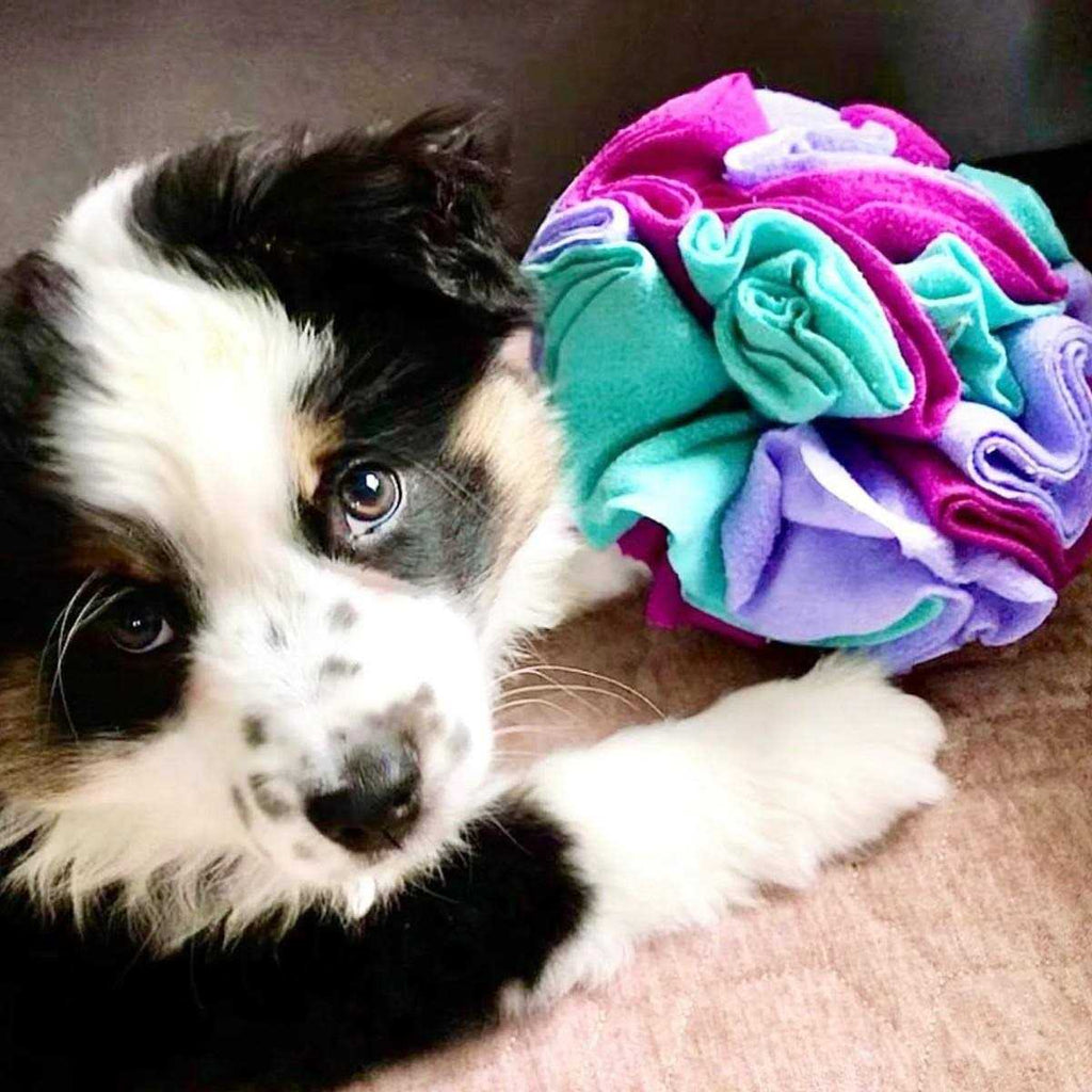 Snuffle Balls Dog Toy R7246