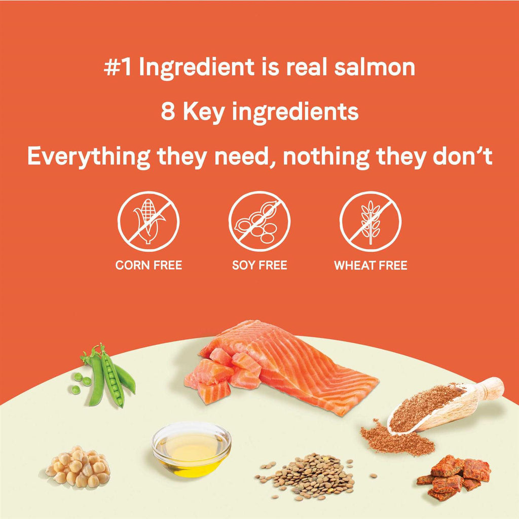 Salmon Small Breed Puppy Dry Dog Food X706510