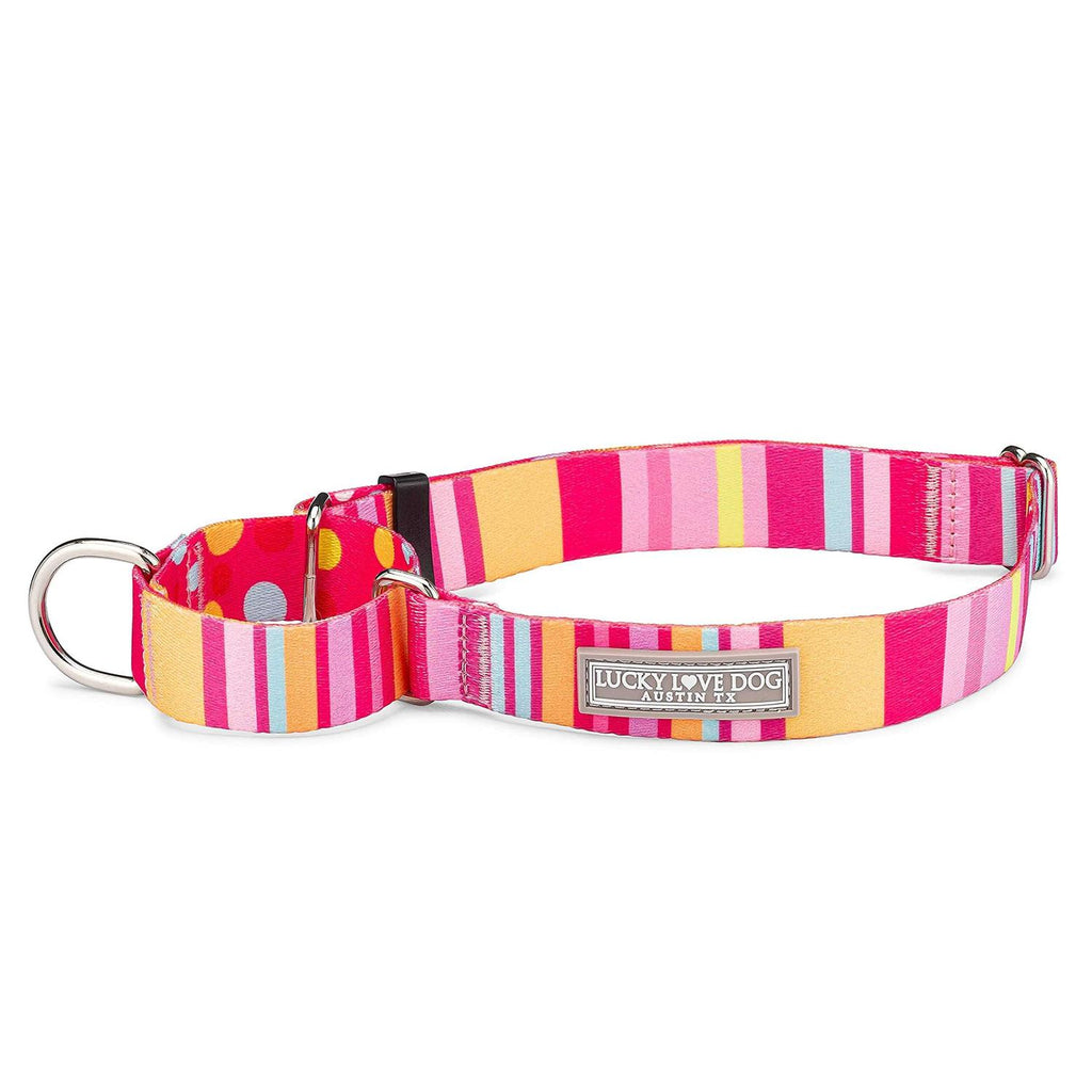Martingale Dog Collar L8781