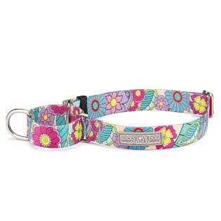Martingale Dog Collar L8781