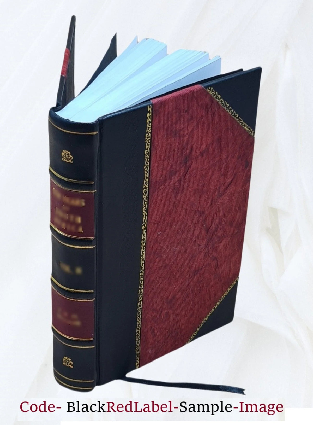 A Mission to Gelele, King of Dahome: With Notices of the So Called "Amazons," the Grand Customs ... 1864 [Leather Bound] F963
