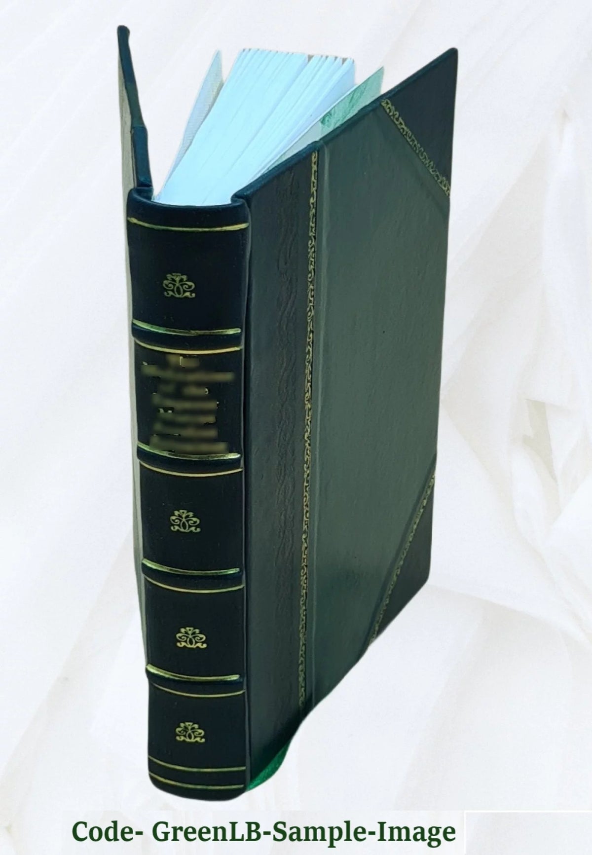 Leather Bound G923078